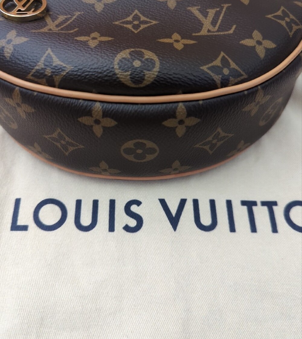 Louis Vuitton Monogram Loop - Picture 8 of 11